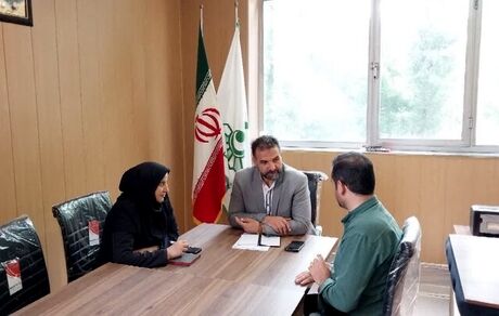 لغو جشنواره گل‌های بابونه در نمین بدلیل شهادت رئیس جمهور و همراهان