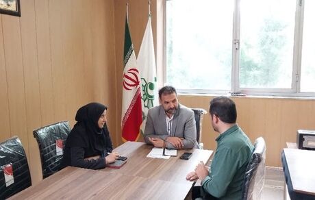 لغو جشنواره گل‌های بابونه در نمین بدلیل شهادت رئیس جمهور و همراهان