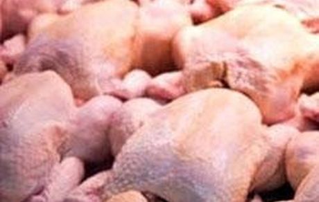 صادرات ۴۰۰۰ تن مرغ در زمان ممنوعیت!