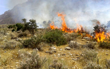 هشدار محیط زیست نسبت به احتمال وقوع حریق در طبیعت همزمان با پاییز کم‌بارش