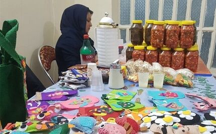 ظرفیت مشاغل خانگی امسال چند برابر می‌شود