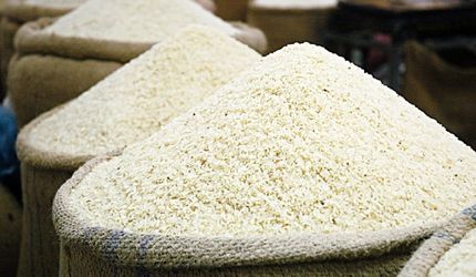 امسال نیازی به واردات برنج نداریم