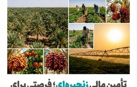 تأمین مالی زنجیره ای؛ فرصتی برای عبور کشاورزی سیستان و بلوچستان از فقر ساختاری به ارزش افزوده پایدار