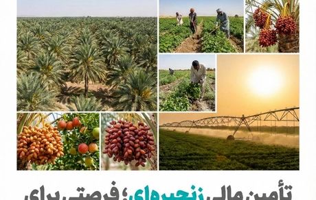 تأمین مالی زنجیره ای؛ فرصتی برای عبور کشاورزی سیستان و بلوچستان از فقر ساختاری به ارزش افزوده پایدار