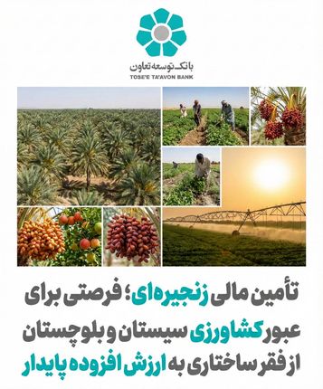 تأمین مالی زنجیره ای؛ فرصتی برای عبور کشاورزی سیستان و بلوچستان از فقر ساختاری به ارزش افزوده پایدار