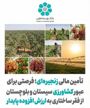 تأمین مالی زنجیره ای؛ فرصتی برای عبور کشاورزی سیستان و بلوچستان از فقر ساختاری به ارزش افزوده پایدار