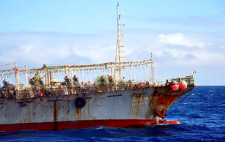 چین، تاراج ماهی‌های کف دریا و قاچاق حیوانات کمیاب را شدت بخشید