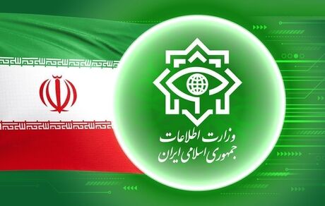 وزارت اطلاعات: شبکه تامین مالی و تجهیزات گروهک تروریستی منافقین بازداشت شدند