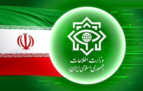 وزارت اطلاعات: شبکه تامین مالی و تجهیزات گروهک تروریستی منافقین بازداشت شدند