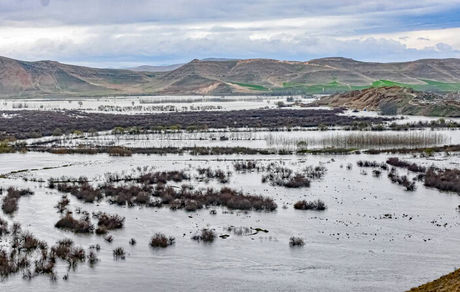 آبگیری کامل منطقه حفاظت شده تالاب نوروزلو