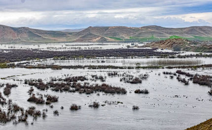 آبگیری کامل منطقه حفاظت شده تالاب نوروزلو