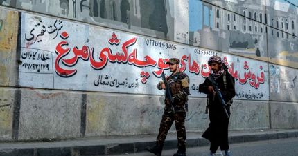 شدت گرفتن تنش بین تاجیکستان و طالبان