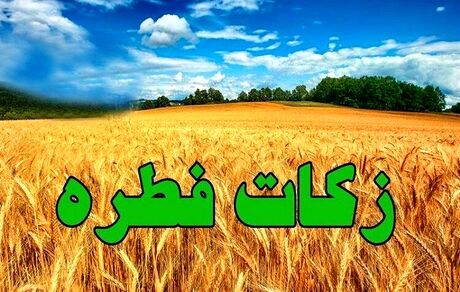 اعلام میزان زکات فطره از سوی دفتر آیت الله مکارم
