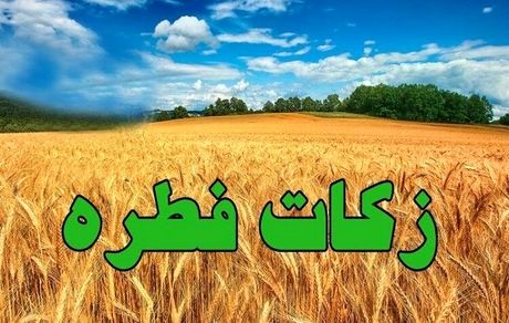 اعلام میزان زکات فطره از سوی دفتر آیت الله مکارم