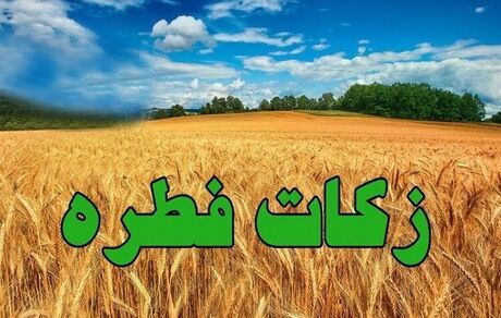 اعلام میزان زکات فطره از سوی دفتر آیت الله مکارم