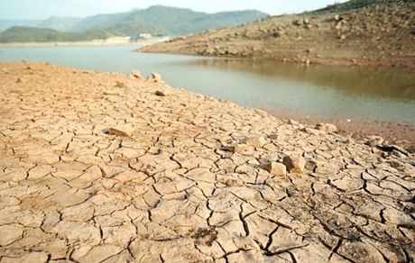 خسارت ۲۲۵ هزار میلیارد ریالی خشکسالی به کشاورزی خراسان شمالی