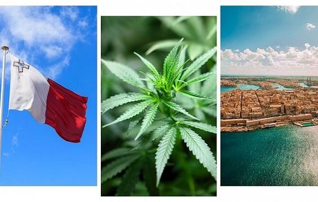 پرورش و مصرف ماری‌جوانان در یک کشور اروپایی قانونی شد!