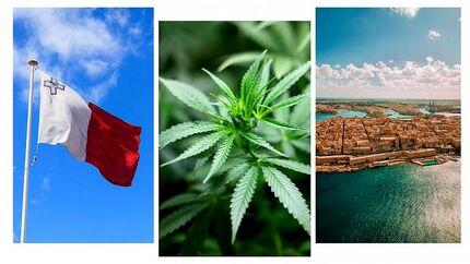 پرورش و مصرف ماری‌جوانان در یک کشور اروپایی قانونی شد!