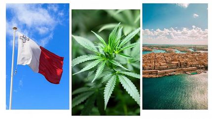 پرورش و مصرف ماری‌جوانان در یک کشور اروپایی قانونی شد!