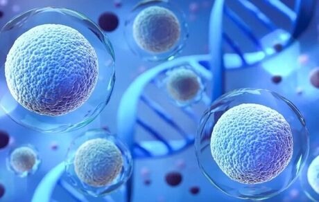 اولین داروی درمان التهاب حاد مبتنی بر سلول‌های بنیادی وارد فهرست دارویی کشور شد