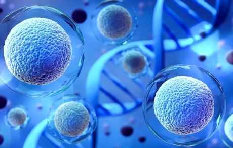 اولین داروی درمان التهاب حاد مبتنی بر سلول‌های بنیادی وارد فهرست دارویی کشور شد