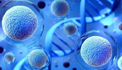 اولین داروی درمان التهاب حاد مبتنی بر سلول‌های بنیادی وارد فهرست دارویی کشور شد