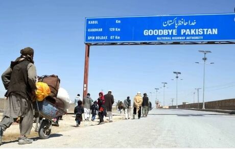 پاکستان به این دلیل مهاجران افغان را اخراج کرد