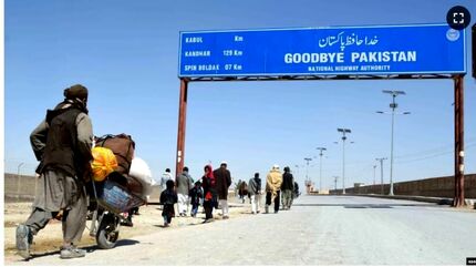 پاکستان به این دلیل مهاجران افغان را اخراج کرد
