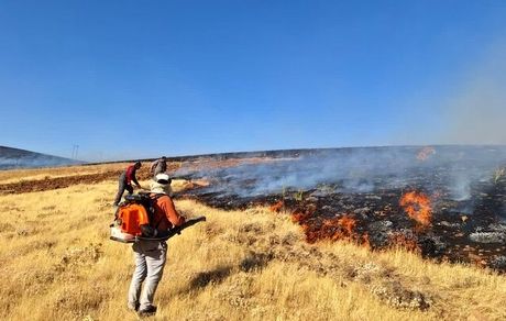 شدت گرفتن آتش سوزی عرصه طبیعی منطقه «گلیل»