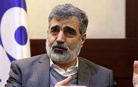 سازمان انرژی اتمی 100 در صد قانون اقدام راهبردی را اجرا می کند