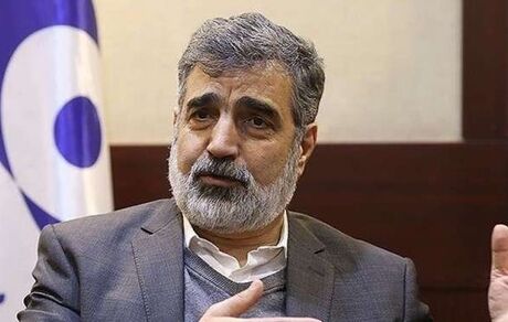 سازمان انرژی اتمی 100 در صد قانون اقدام راهبردی را اجرا می کند