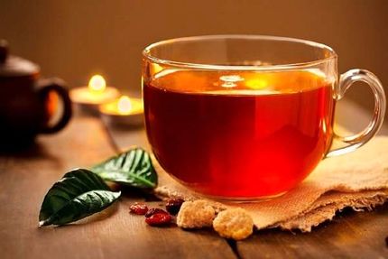 خواص جالب دم کردنی ها/ با مزایای نوشیدن ۵ لیوان چای برای سالمندان آشنا شوید