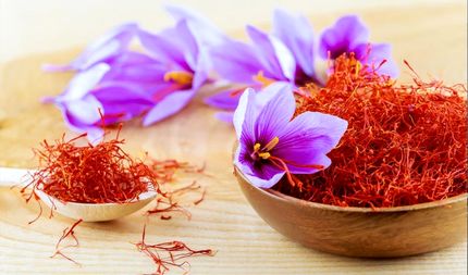 صادرات ۱۷۲ میلیون دلار زعفران از ابتدای امسال