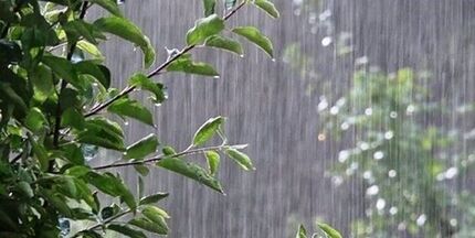 پیش بینی هواشناسی: وزش باد شدید در شرق کشور و رگبار در نقاط مختلف