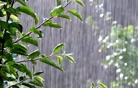 پیش بینی هواشناسی: وزش باد شدید در شرق کشور و رگبار در نقاط مختلف