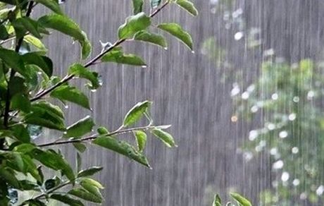 پیش بینی هواشناسی: وزش باد شدید در شرق کشور و رگبار در نقاط مختلف
