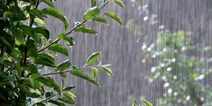 پیش بینی هواشناسی: وزش باد شدید در شرق کشور و رگبار در نقاط مختلف