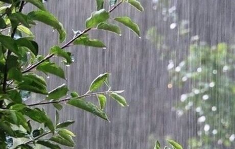 پیش بینی هواشناسی: وزش باد شدید در شرق کشور و رگبار در نقاط مختلف