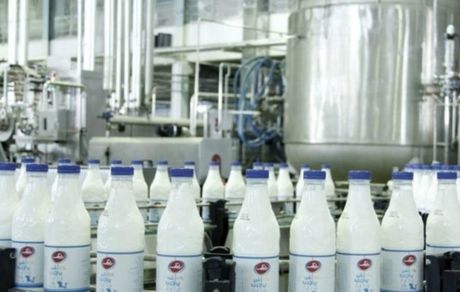  تصمیمی برای افزایش قیمت شیر خام گرفته نشده است