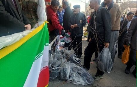 توزیع نهال رایگان در راهپیمایی ۲۲ بهمن