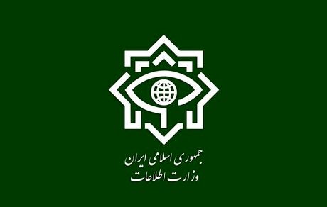 یک تروریست فرامرزی توسط وزارت اطلاعات دستگیر شد