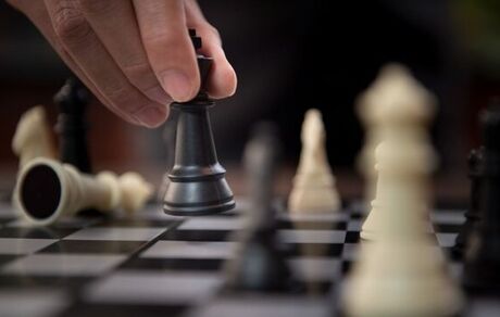 سایپا در لیگ برتر شطرنج، تیم داری می‌کند