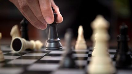 سایپا در لیگ برتر شطرنج، تیم داری می‌کند