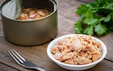 تولید تن ماهی از ۶۵۰ میلیون عدد در سال به ۲۵۰ میلیون عدد رسید