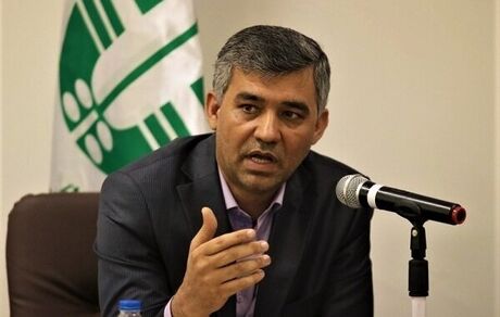 شناسایی آلودگی نفتی در حدود ۳۲ هزار مترمربع از سواحل جنوبی جزایر قشم و هنگام 