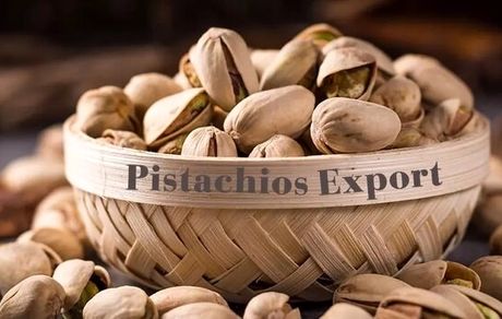 لغو دستورالعمل اخذ یک درصد عوارض صادراتی از محصولات کشاورزی از جمله پسته اجرایی شد