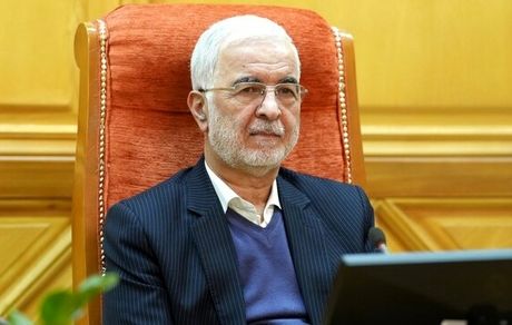بازگشت ۷۰ درصد اتباع، داوطلبانه بود