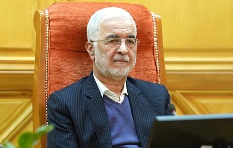 بازگشت ۷۰ درصد اتباع، داوطلبانه بود
