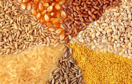 نهاده های دامی چگونه سر از بازار آزاد در می آورند؟