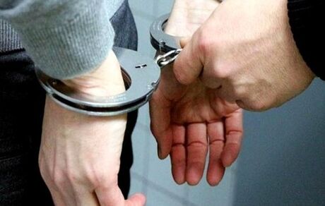 دستگیری خواننده لس‌آنجلسی در تهران 